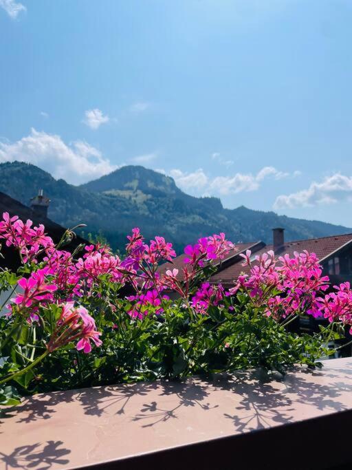 Berge, Wandern, Erholung Pur! Tinka-haus Katja Appartamento Bad Hindelang