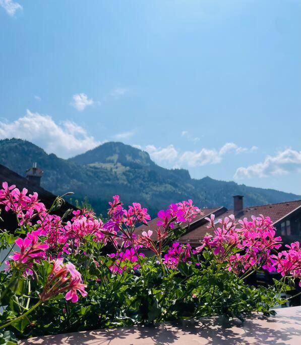 Appartamento Berge, Wandern, Erholung Pur! Tinka-haus Katja